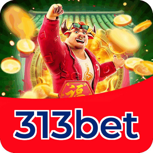 Suporte 313bet